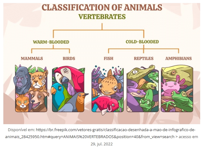 Detetives de Animais