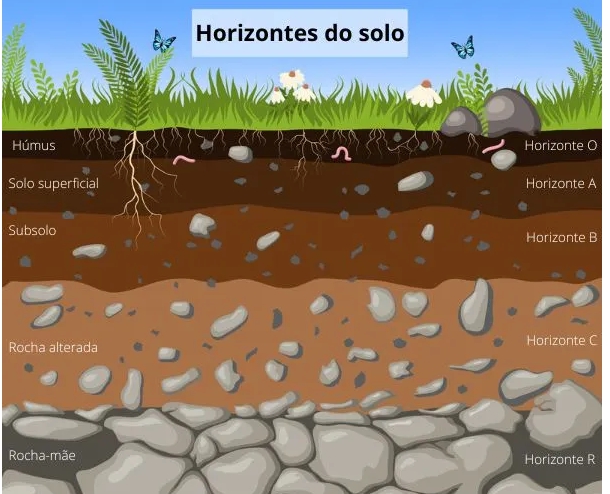 As Cores e Cheiros da Nossa Terra