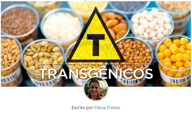 Debate: Transgênicos na nossa mesa?