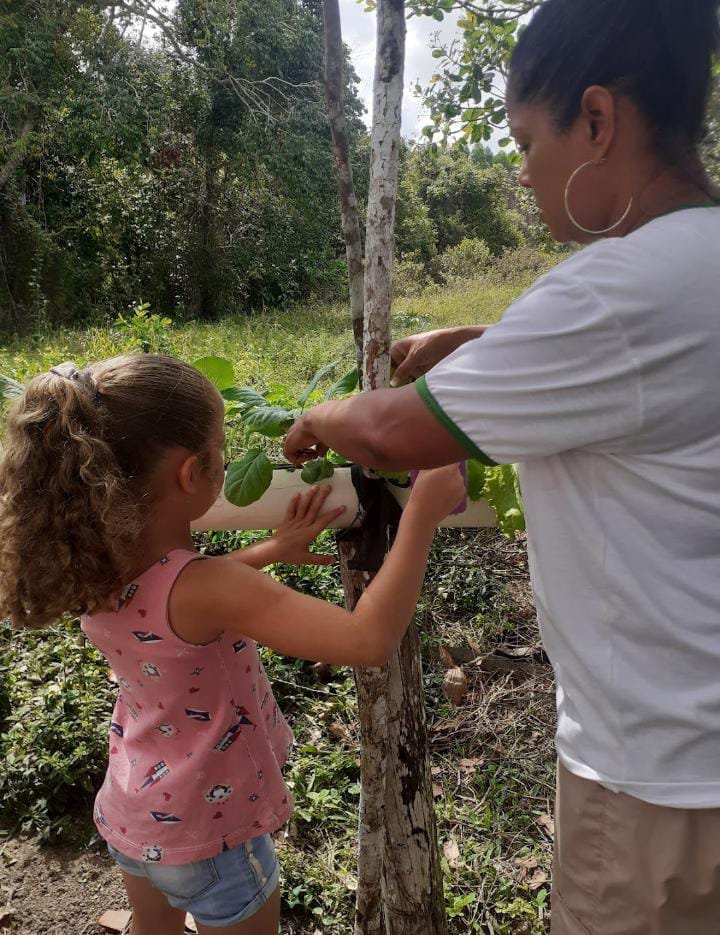 Horta da Comunidade: Aprendendo com a Terra e com os Saberes Locais
