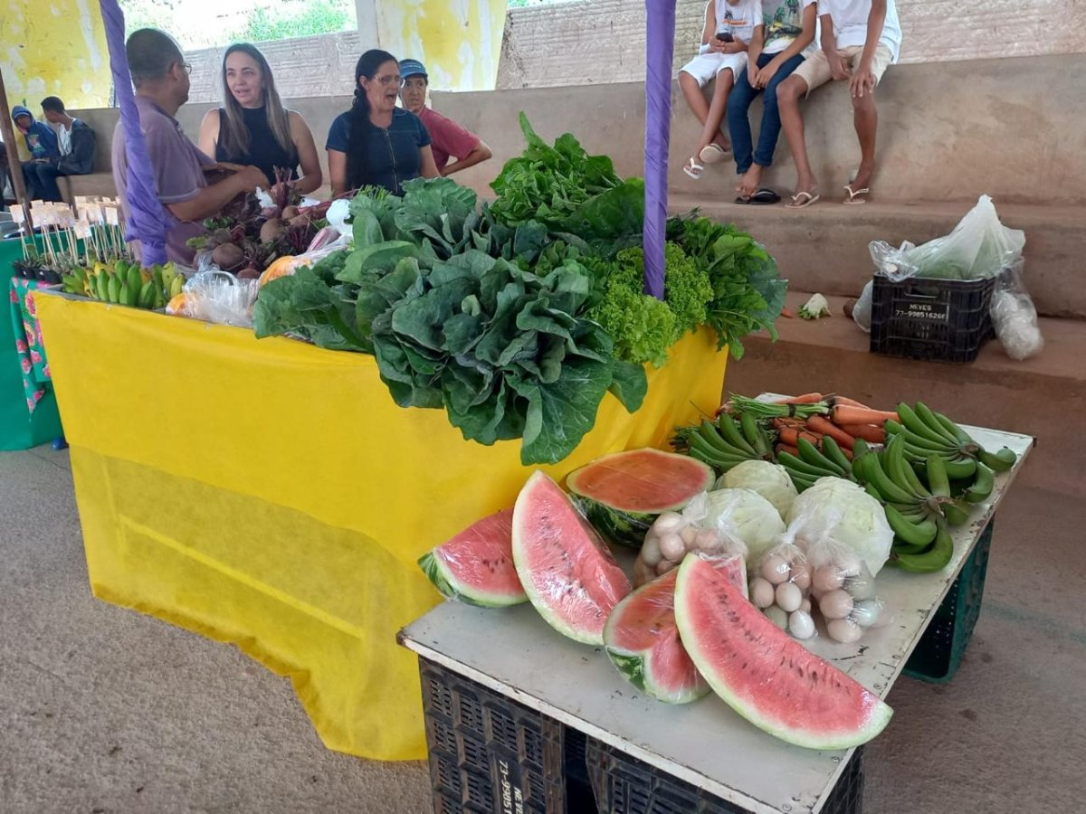 “Mãos na Terra – Plantando com Consciência”